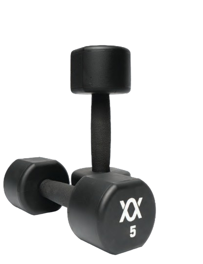 Pair of black dumbbells with a visible brand logo on a white background